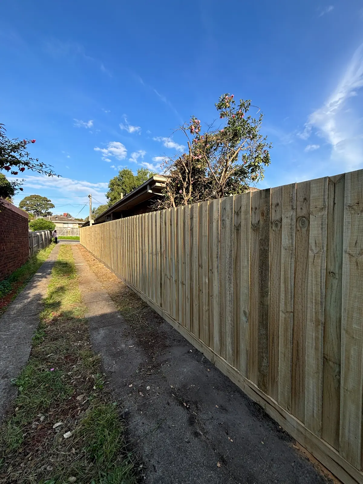 New treated pine paling fence with capping rail running along a laneway under a blue sky